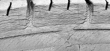 deteriorated-tyre deteriorated-tyre